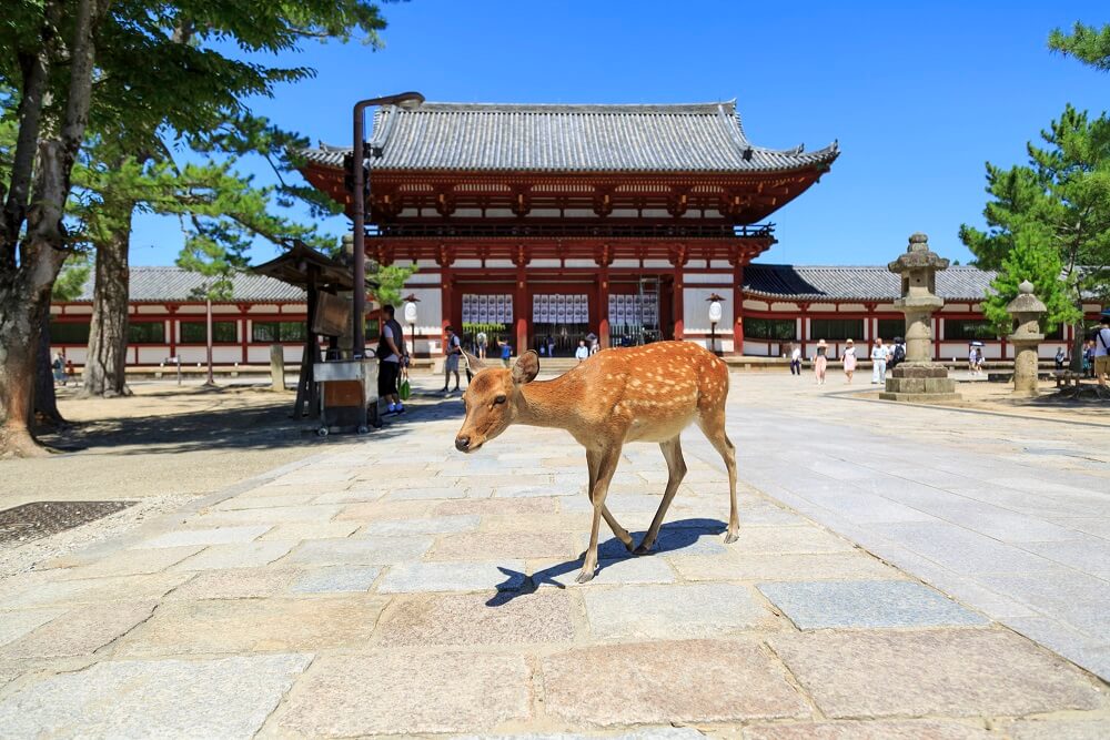 奈良県
