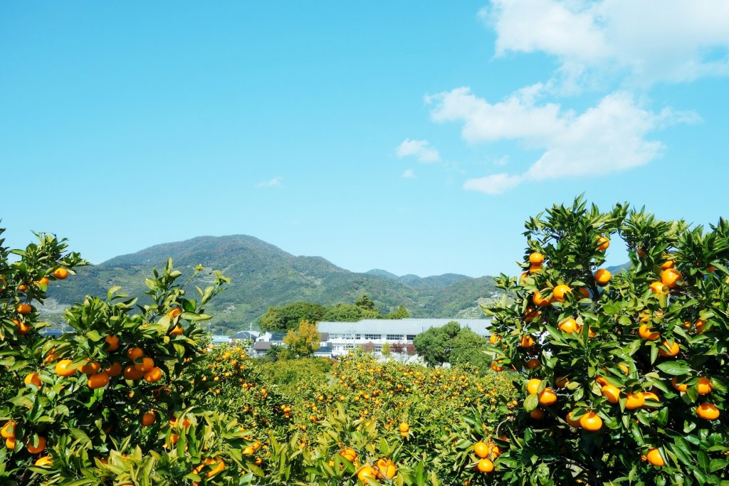 和歌山県
