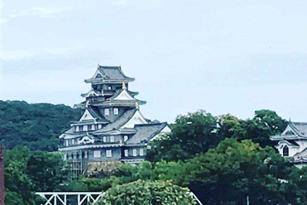 岡山神社から望む岡山城