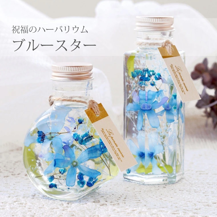 ブルースター ハーバリウム S