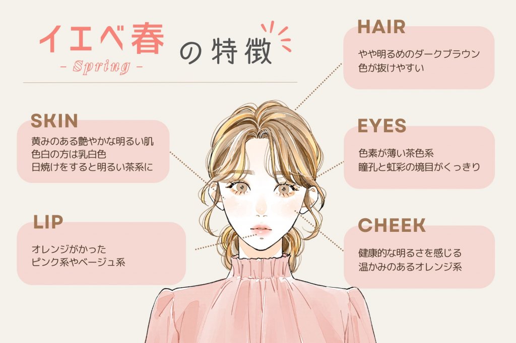 イエベ春の特徴