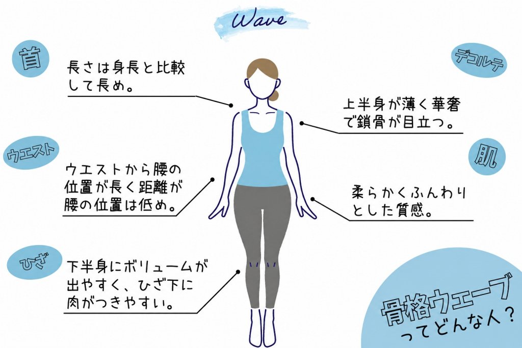 骨格ウェーブとは?