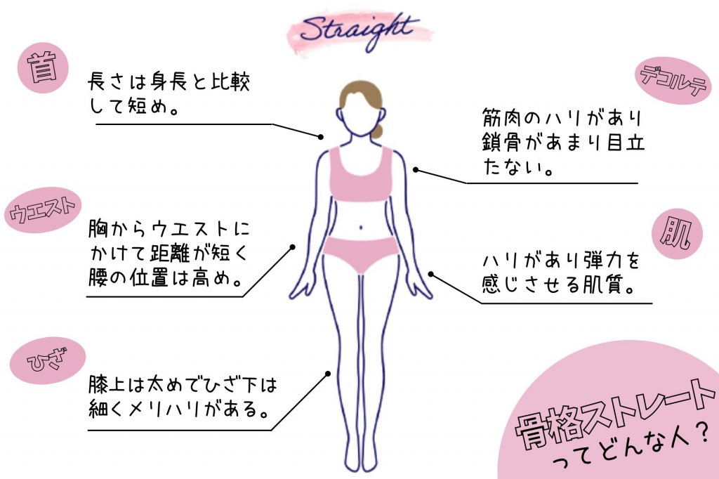 骨格ストレートとは?